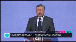 ''ქართული ოცნების'' - მაჟორიტარები გურიაში 