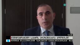 მუდმივმოქმედი საბჭოს პრეზენტაცია ბოლნისში 