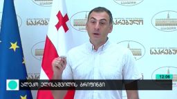 ალეკო ელისაშვილის ბრიფინგი 