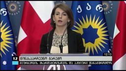 წინასაარჩევნო გარემო 