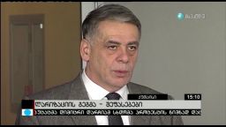 დეპუტატები ლარიზაციისა და საგარეო კურსის შესახებ